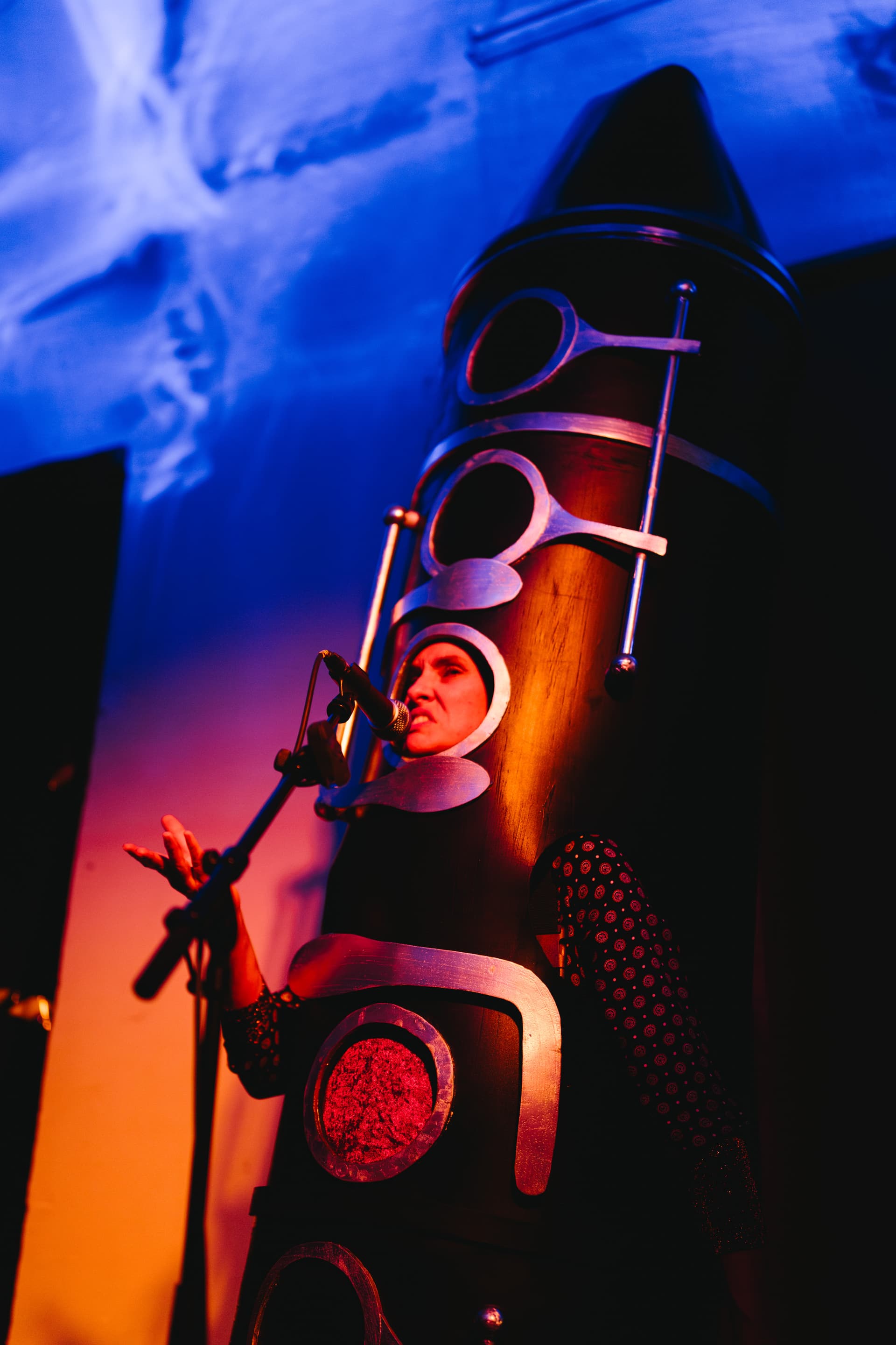 Spitzwegerich: (GEHÄUSE): AURUM