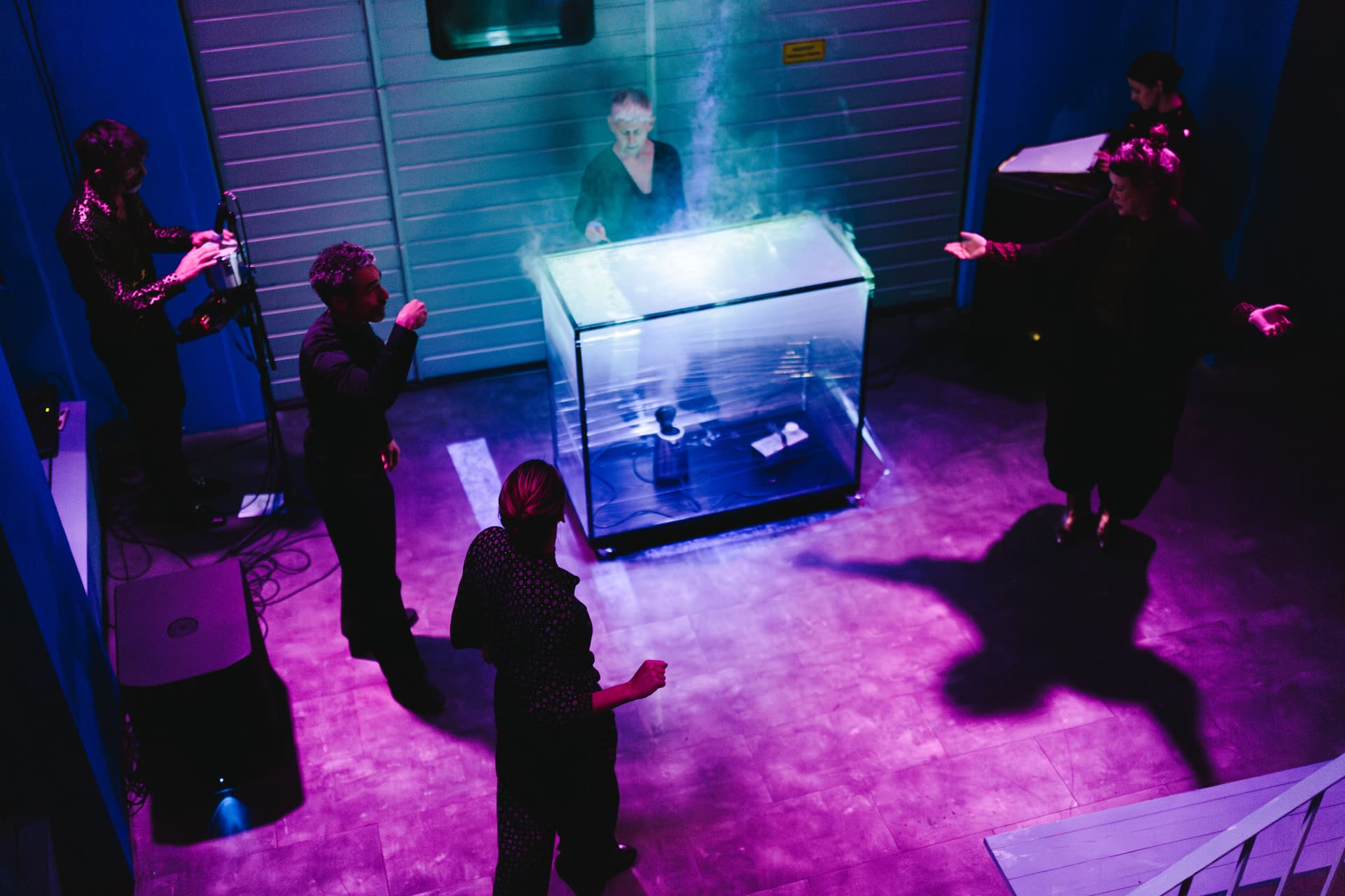 Spitzwegerich: (GEHÄUSE): AURUM